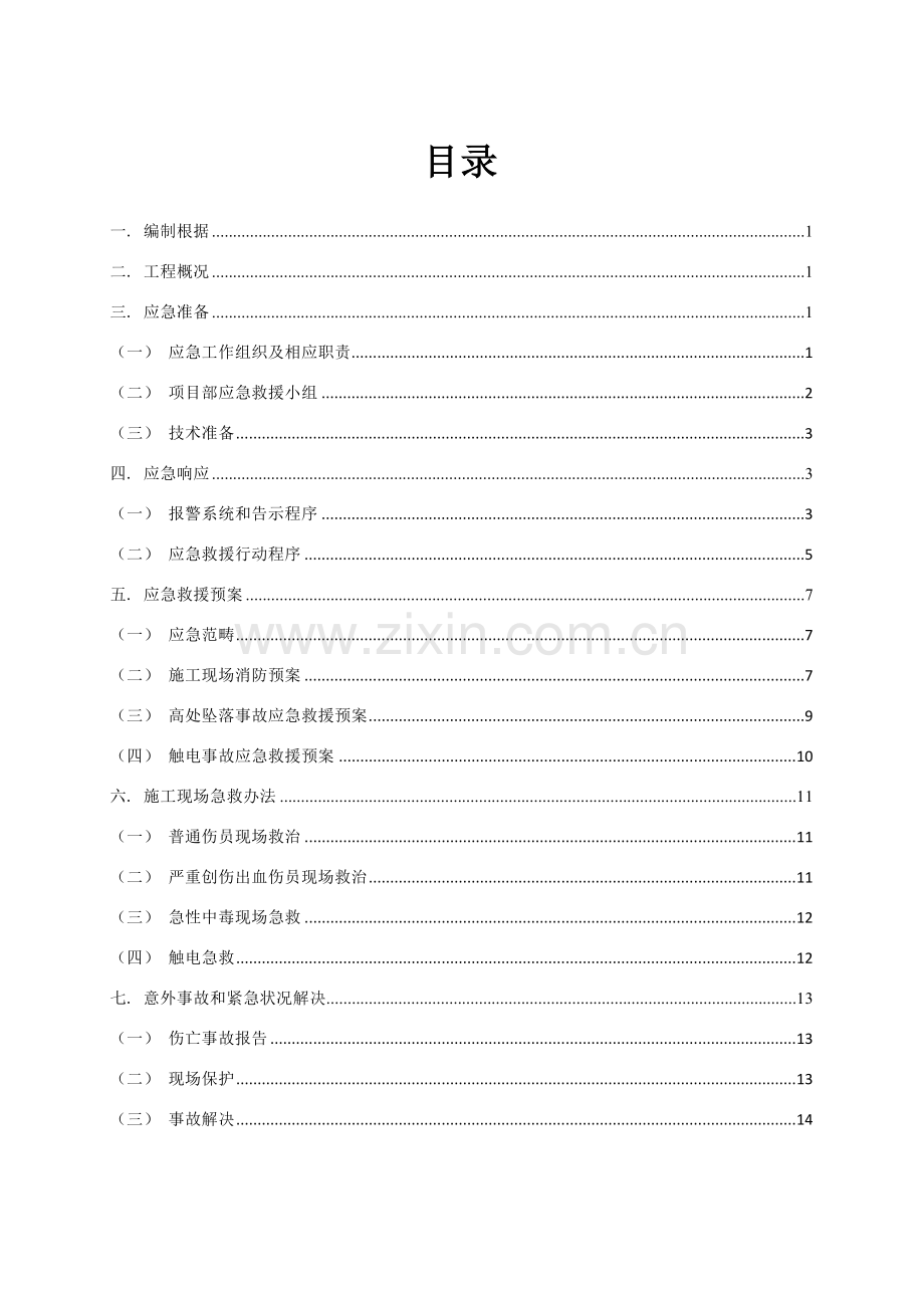 综合项目春节期间应急专项预案.doc_第1页