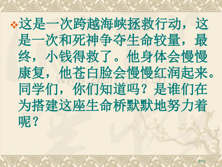 跨越海峡的生命桥课件8省公开课一等奖新名师优质课比赛一等奖课件.pptx_第3页