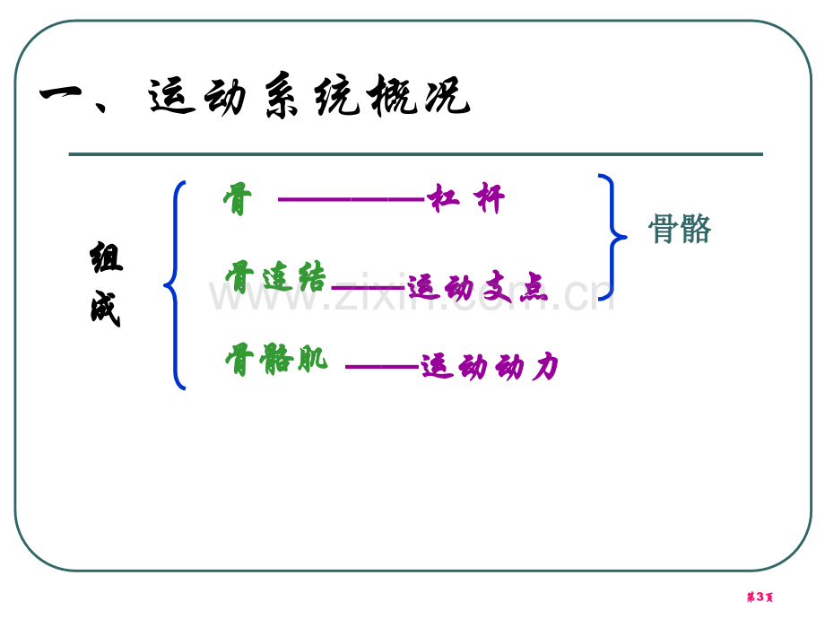 人的运动系统和保健课件省公开课一等奖新名师优质课比赛一等奖课件.pptx_第3页