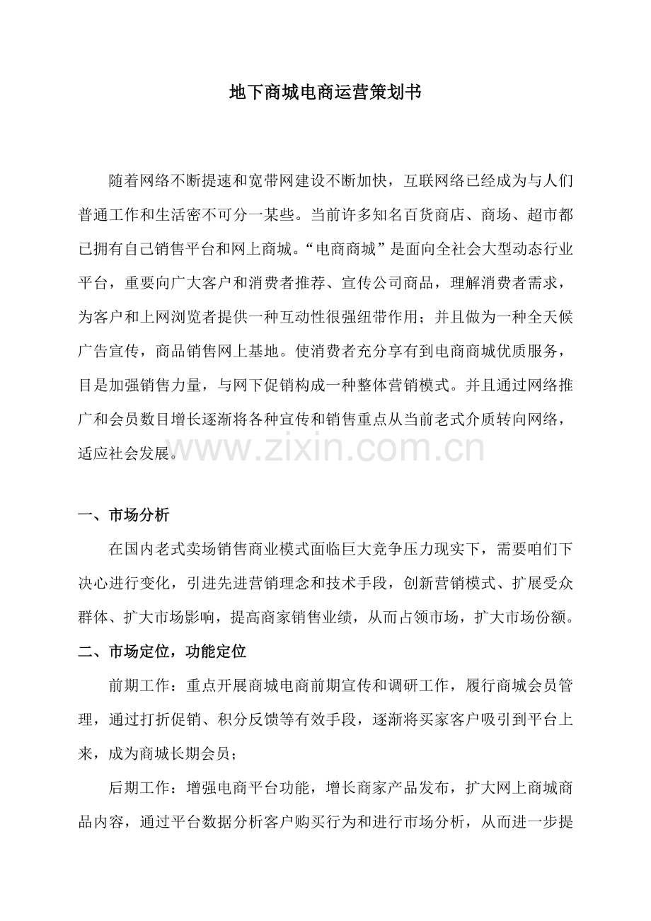 电商平台建设专业策划书.doc_第1页