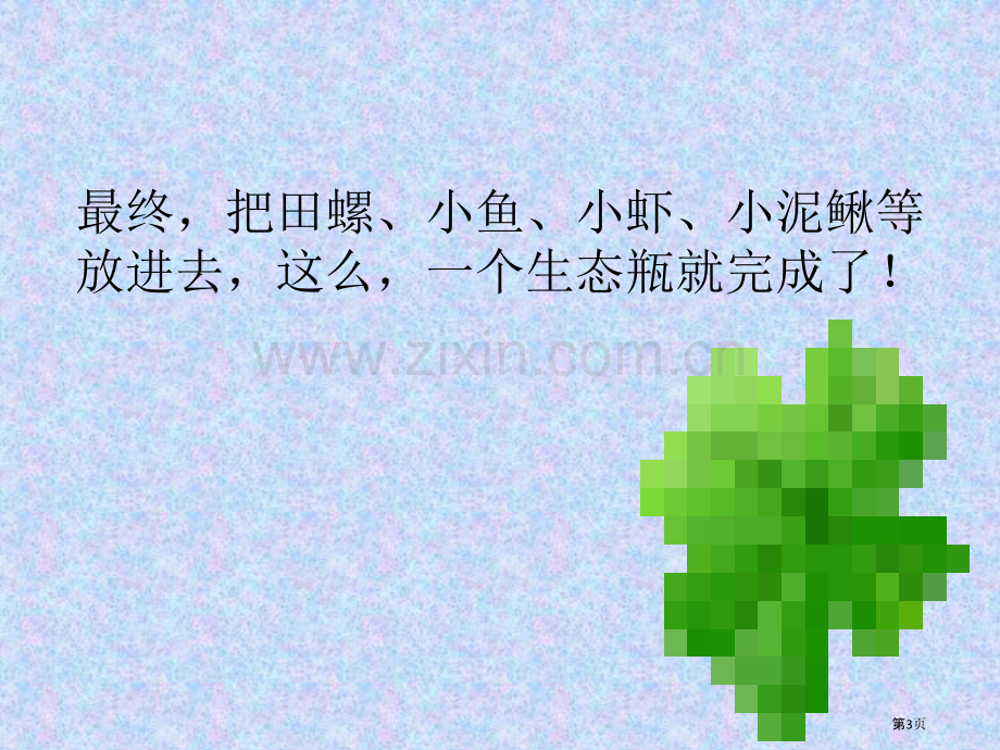 做一个生态瓶省公开课一等奖新名师优质课比赛一等奖课件.pptx_第3页