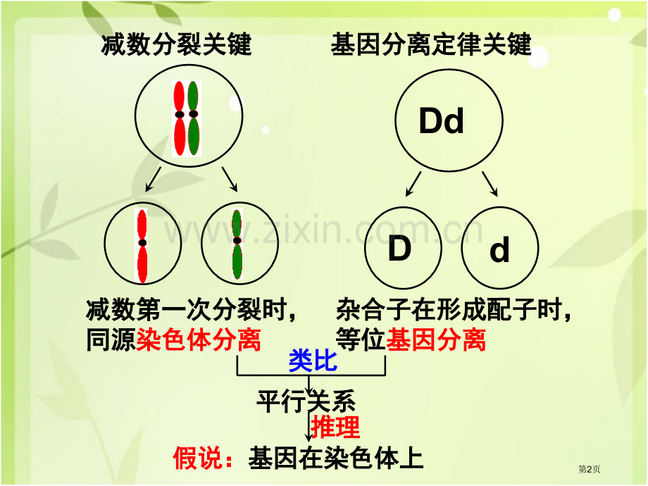 一轮复习基因在染色体上和伴性遗传市公开课一等奖百校联赛获奖课件.pptx_第2页