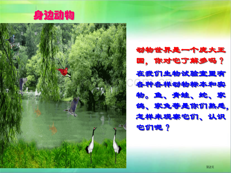 多样的动物省公开课一等奖新名师优质课比赛一等奖课件.pptx_第2页