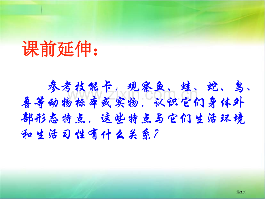 多样的动物省公开课一等奖新名师优质课比赛一等奖课件.pptx_第3页