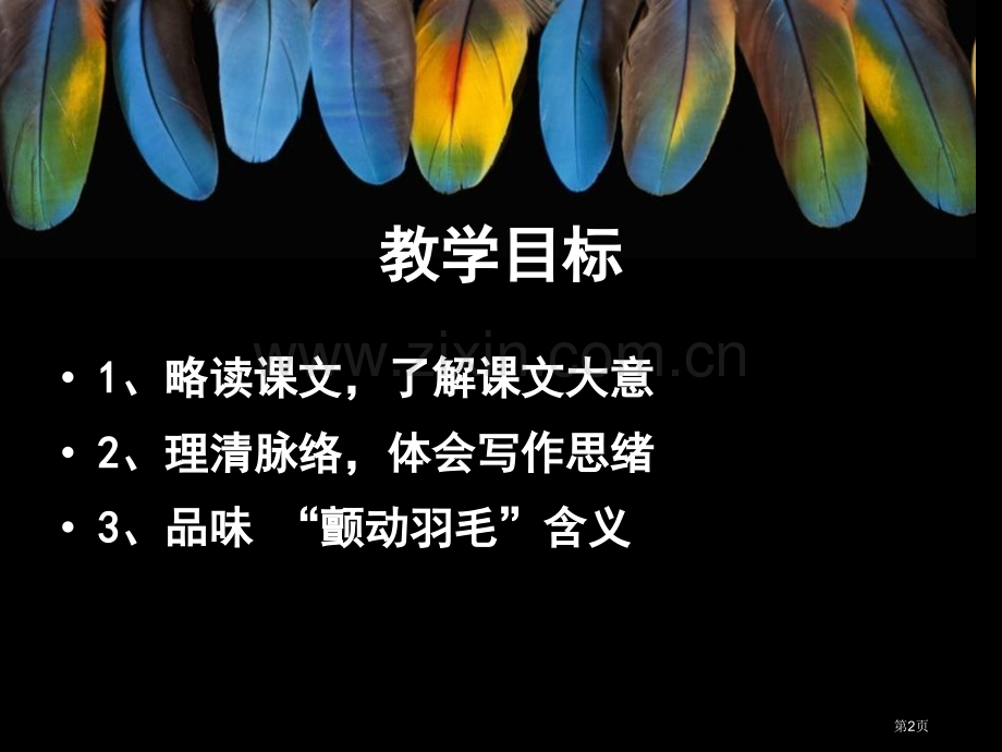 颤抖的羽毛课件省公开课一等奖新名师比赛一等奖课件.pptx_第2页