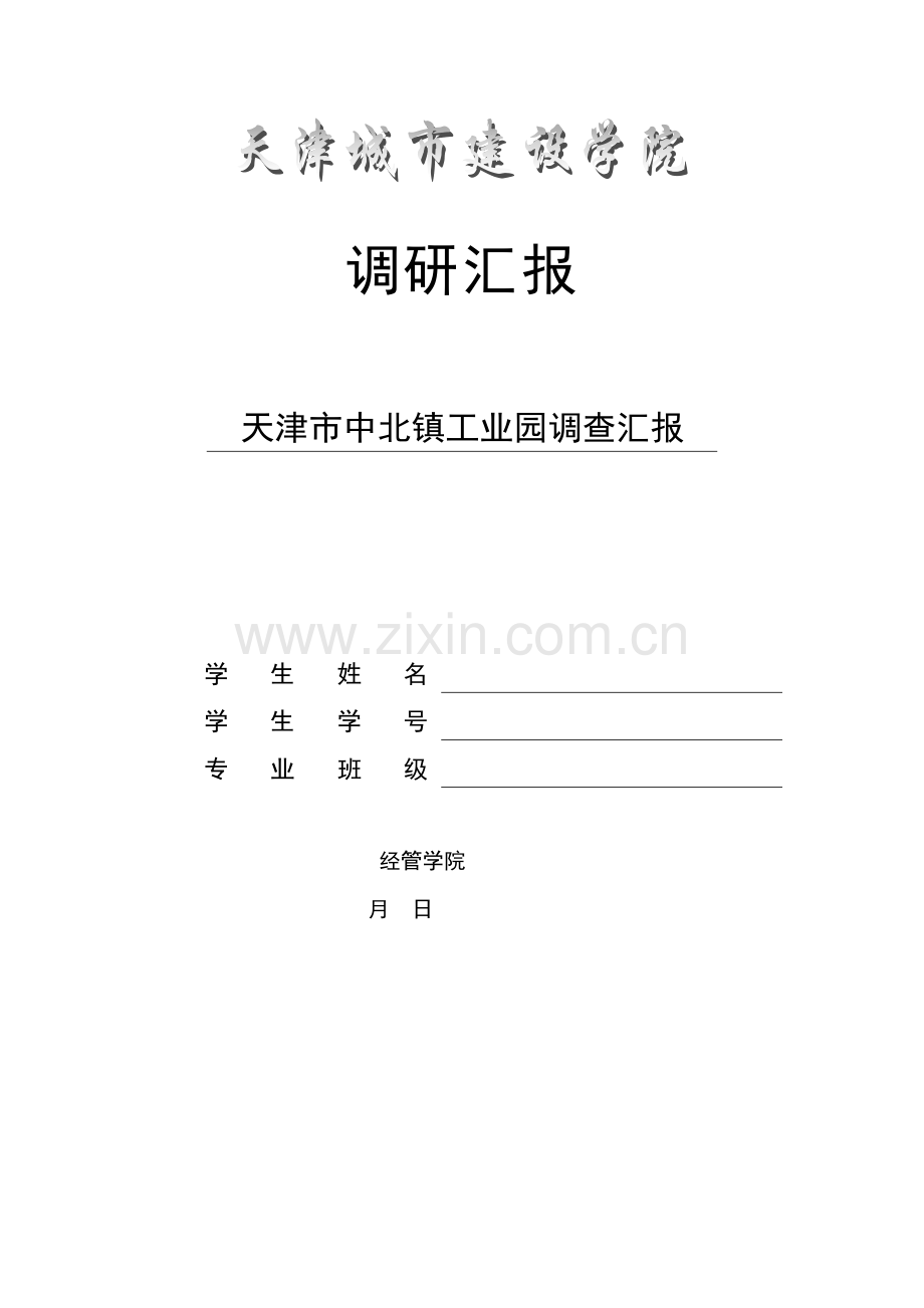 中北镇综合规划报告.docx_第1页