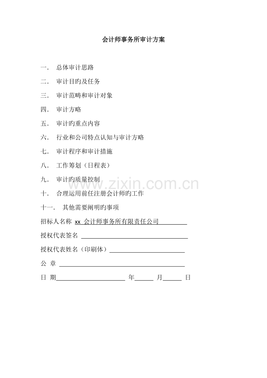 会计师事务所审计专题方案.docx_第1页