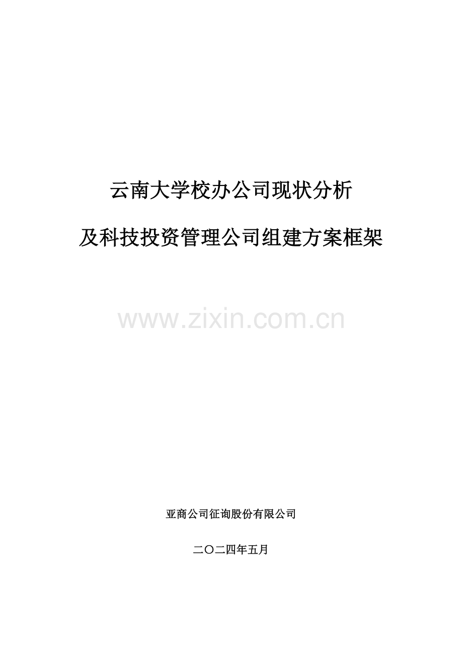 校办企业现状及投资管理公司组建专题方案框架分析.docx_第1页