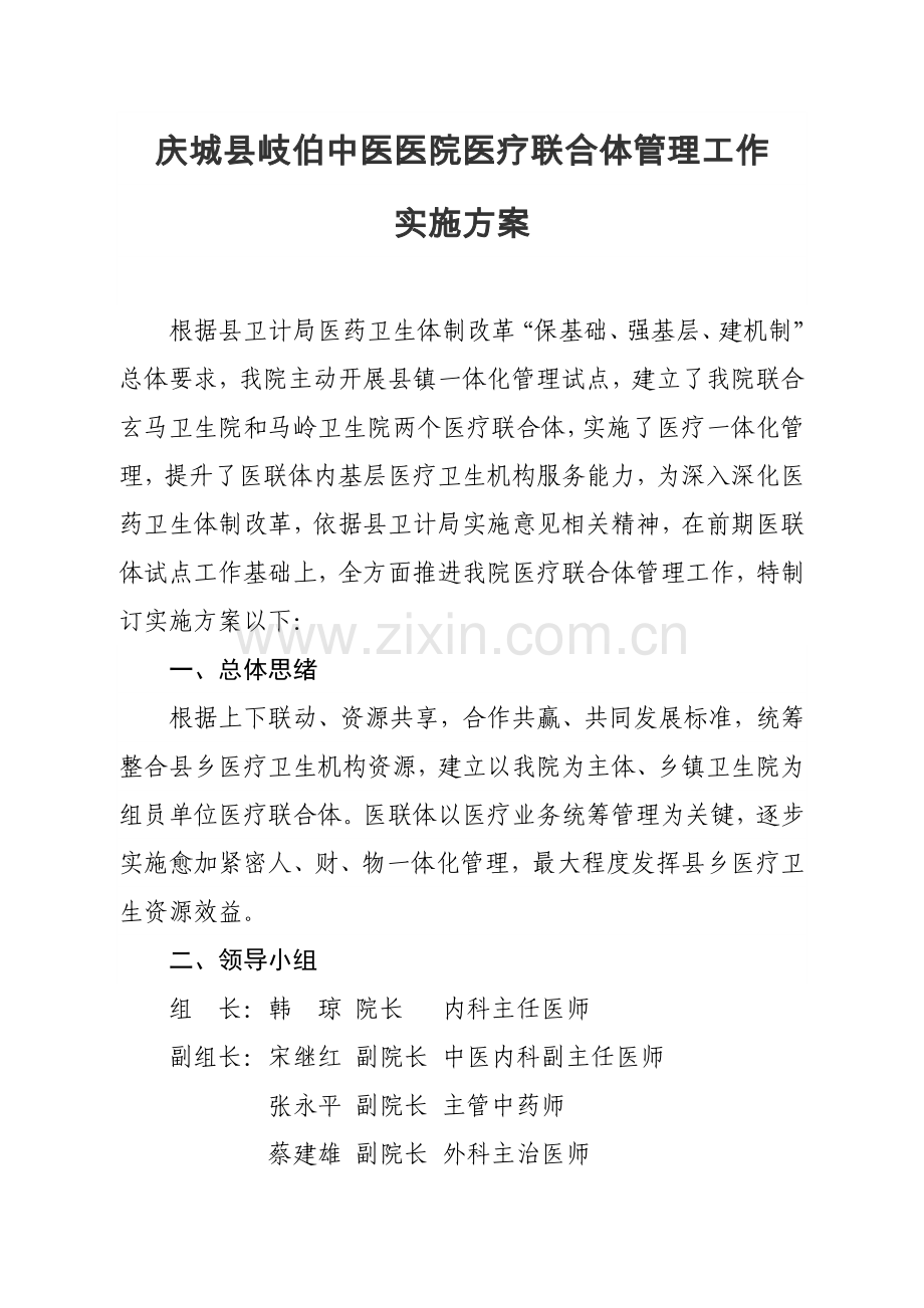 庆城县岐伯中医医院医联体工作实施专项方案.doc_第1页