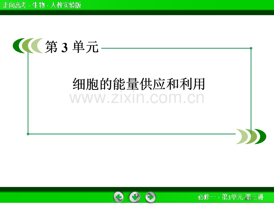 走向高考贾凤山高中总复习生物省公共课一等奖全国赛课获奖课件.pptx_第3页