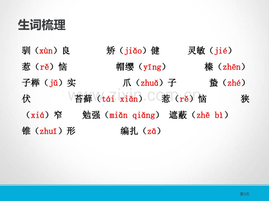 松鼠省公开课一等奖新名师优质课比赛一等奖课件.pptx_第3页