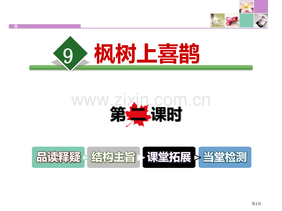 枫树上的喜鹊课件百校联赛公开课一等奖省公开课一等奖新名师比赛一等奖课件.pptx_第1页