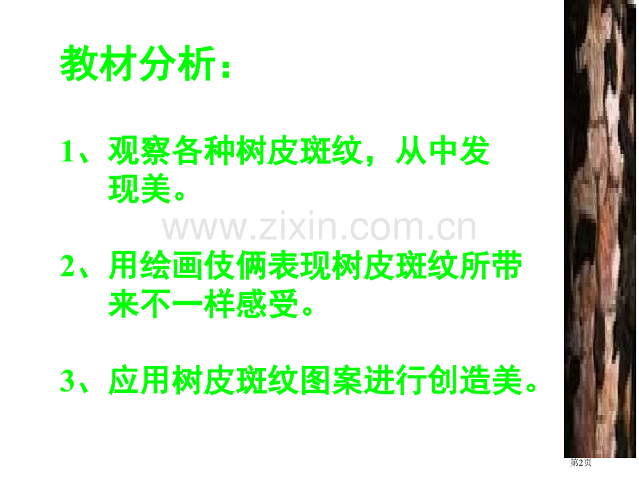 美术树皮上的斑纹省公共课一等奖全国赛课获奖课件.pptx_第2页