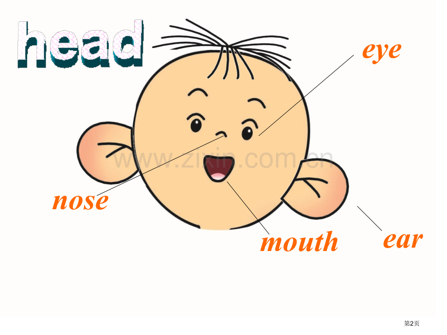 HelloTeddy1Unit4MyHead省公共课一等奖全国赛课获奖课件.pptx_第2页