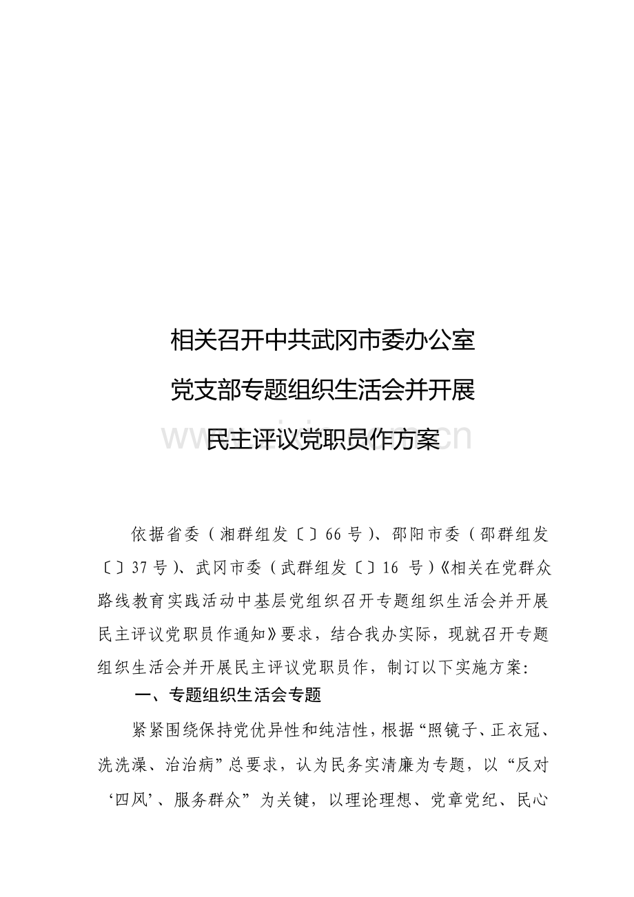 专题组织生活会并开展民主评议党员工作专项方案.doc_第1页