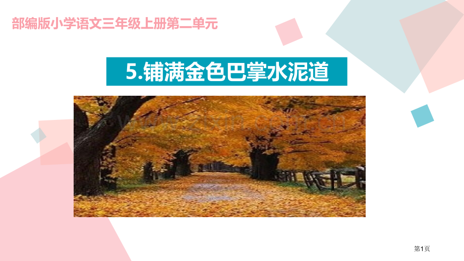 铺满金色巴掌的水泥道课件省公开课一等奖新名师比赛一等奖课件.pptx_第1页