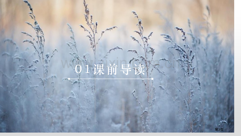 沁园春·雪课件省公开课一等奖新名师比赛一等奖课件.pptx_第3页