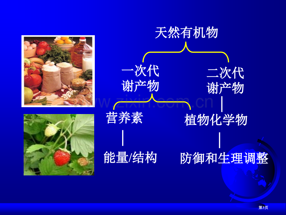 植物化学物专题教育课件市公开课一等奖百校联赛获奖课件.pptx_第3页