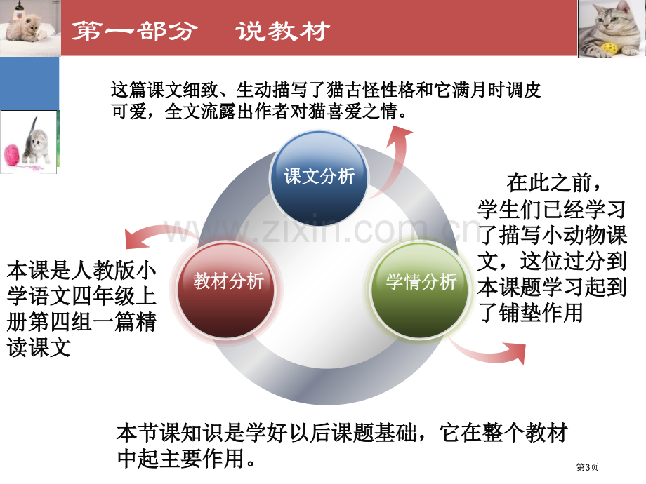 猫说课稿专题知识省公共课一等奖全国赛课获奖课件.pptx_第3页