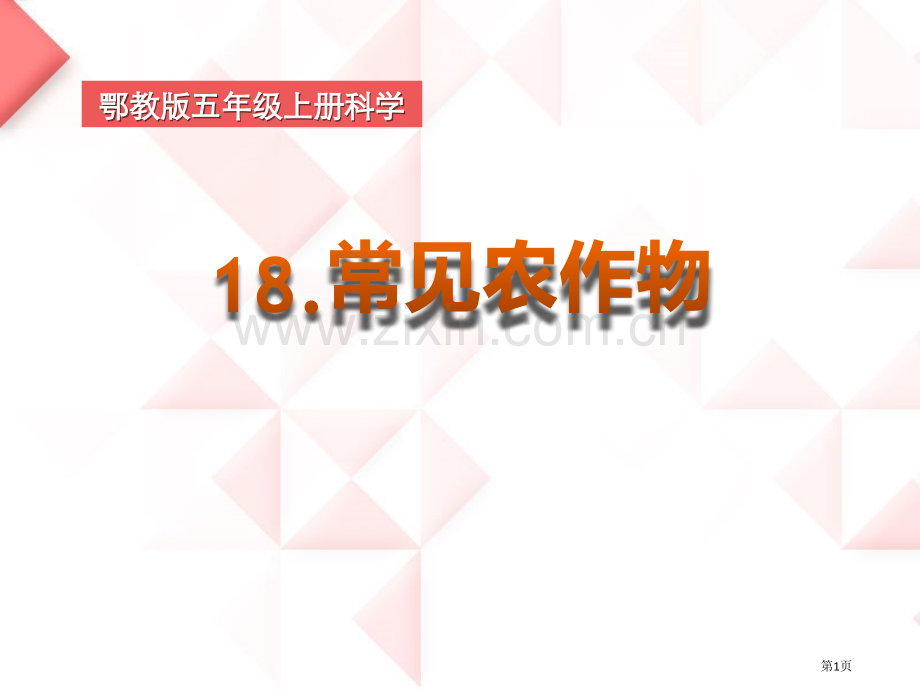 常见的农作物农田课件省公开课一等奖新名师优质课比赛一等奖课件.pptx_第1页