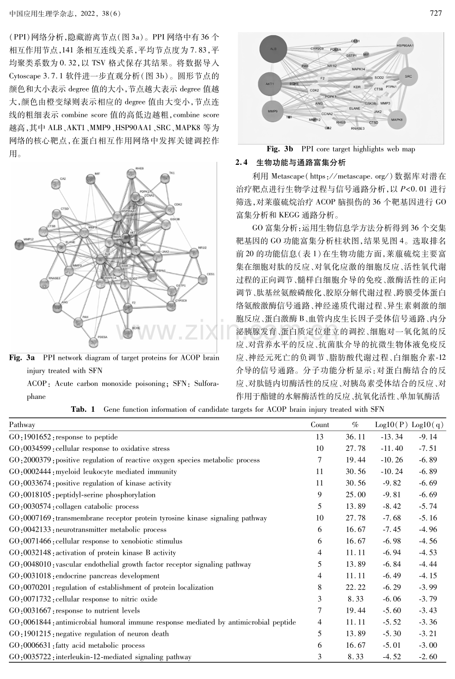 基于网络药理学探讨莱菔硫烷治疗急性一氧化碳中毒脑损伤的作用机制.pdf_第3页