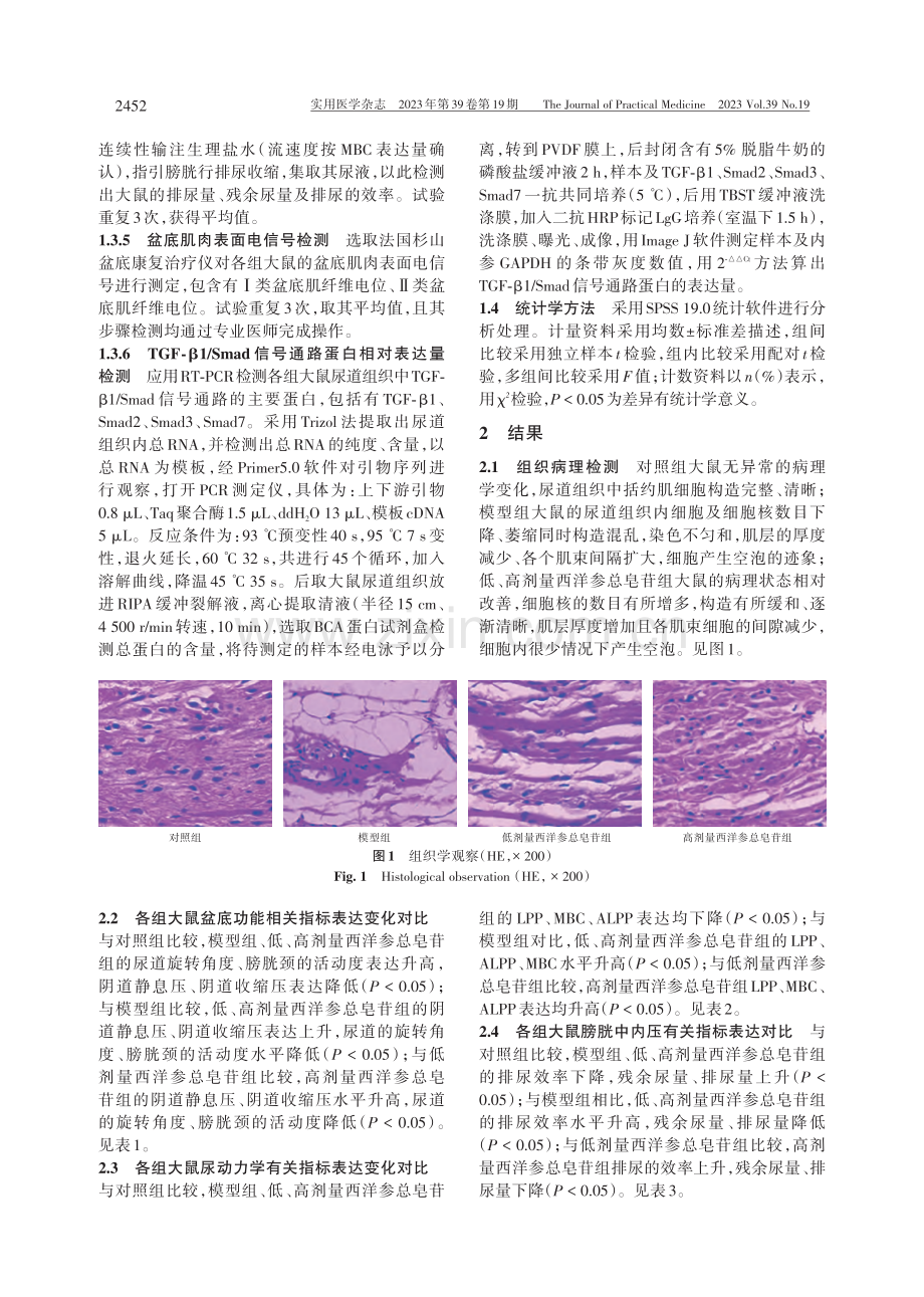 基于西洋参总皂苷调控TGF-β1_Smad信号通路对压力性尿失禁大鼠模型盆底功能恢复的影响 (1).pdf_第3页