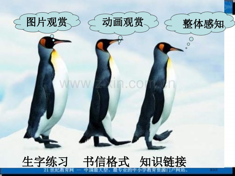 冀教版四上一封从南极寄来的信课件1市公开课一等奖百校联赛特等奖课件.pptx_第3页