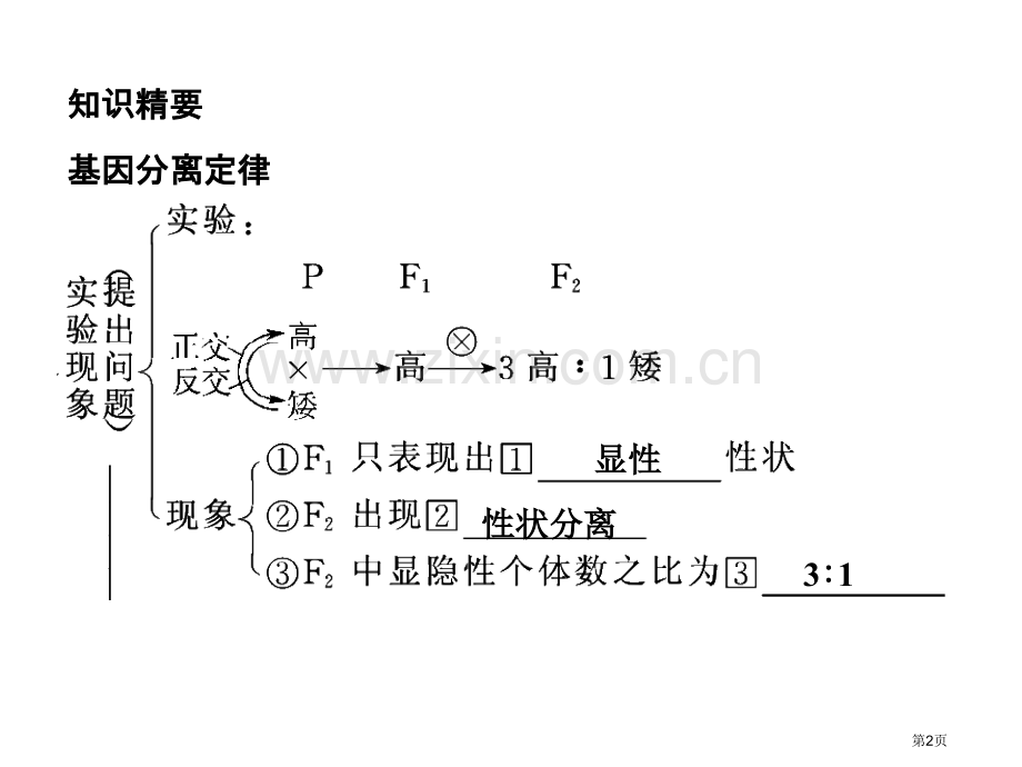 生物一轮复习专辑孟德尔的豌豆杂交实验一市公开课一等奖百校联赛特等奖课件.pptx_第2页