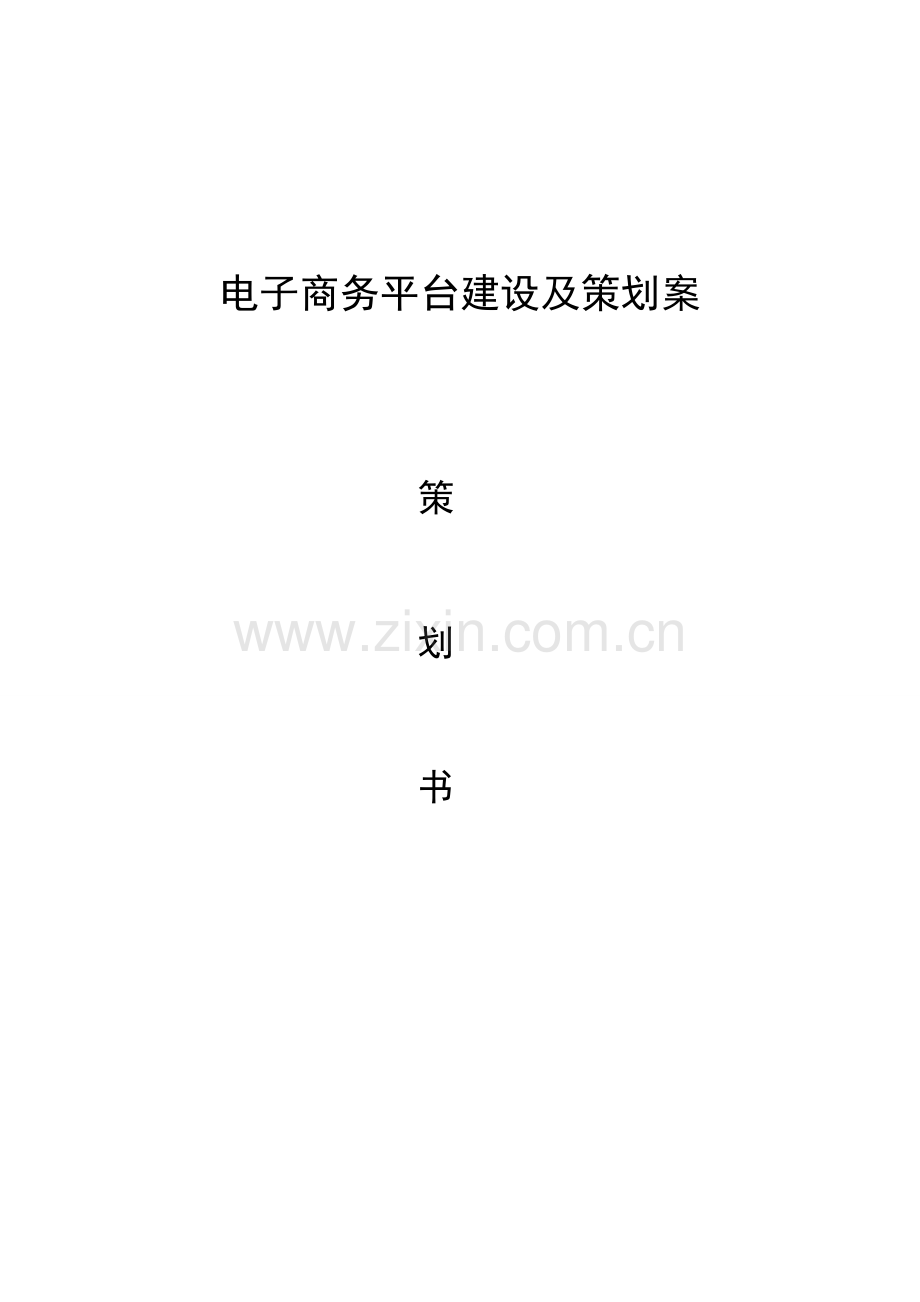 电子商务平台建设专业策划专项方案.doc_第1页