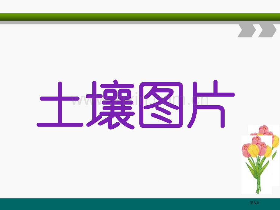 土壤的种类省公开课一等奖新名师优质课比赛一等奖课件.pptx_第3页