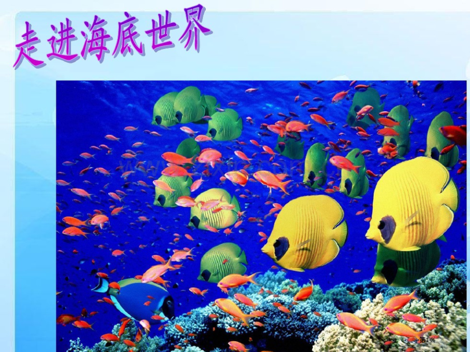 海洋教育二上漫游海洋水族宫市公开课一等奖百校联赛获奖课件.pptx_第1页