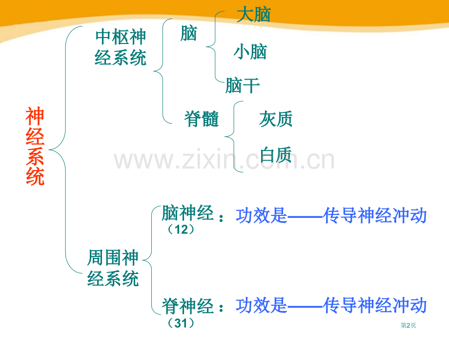 人体的神经调节课件省公开课一等奖新名师优质课比赛一等奖课件.pptx_第2页