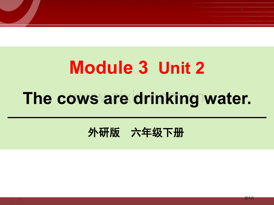 The-cows-are-drinking-water省公开课一等奖新名师优质课比赛一等奖课件.pptx_第1页