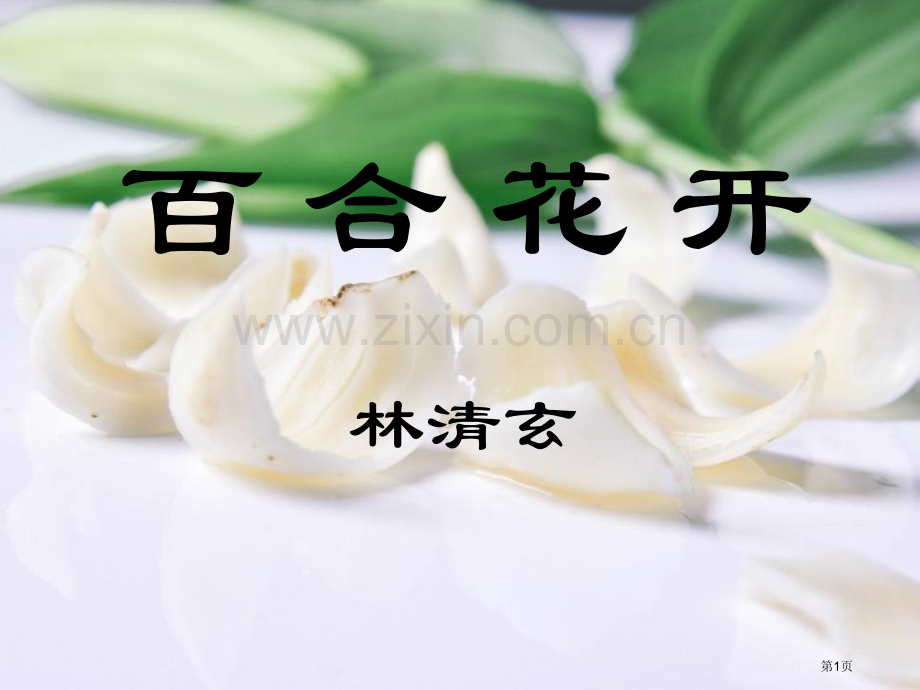 百合花开省公开课一等奖新名师比赛一等奖课件.pptx_第1页