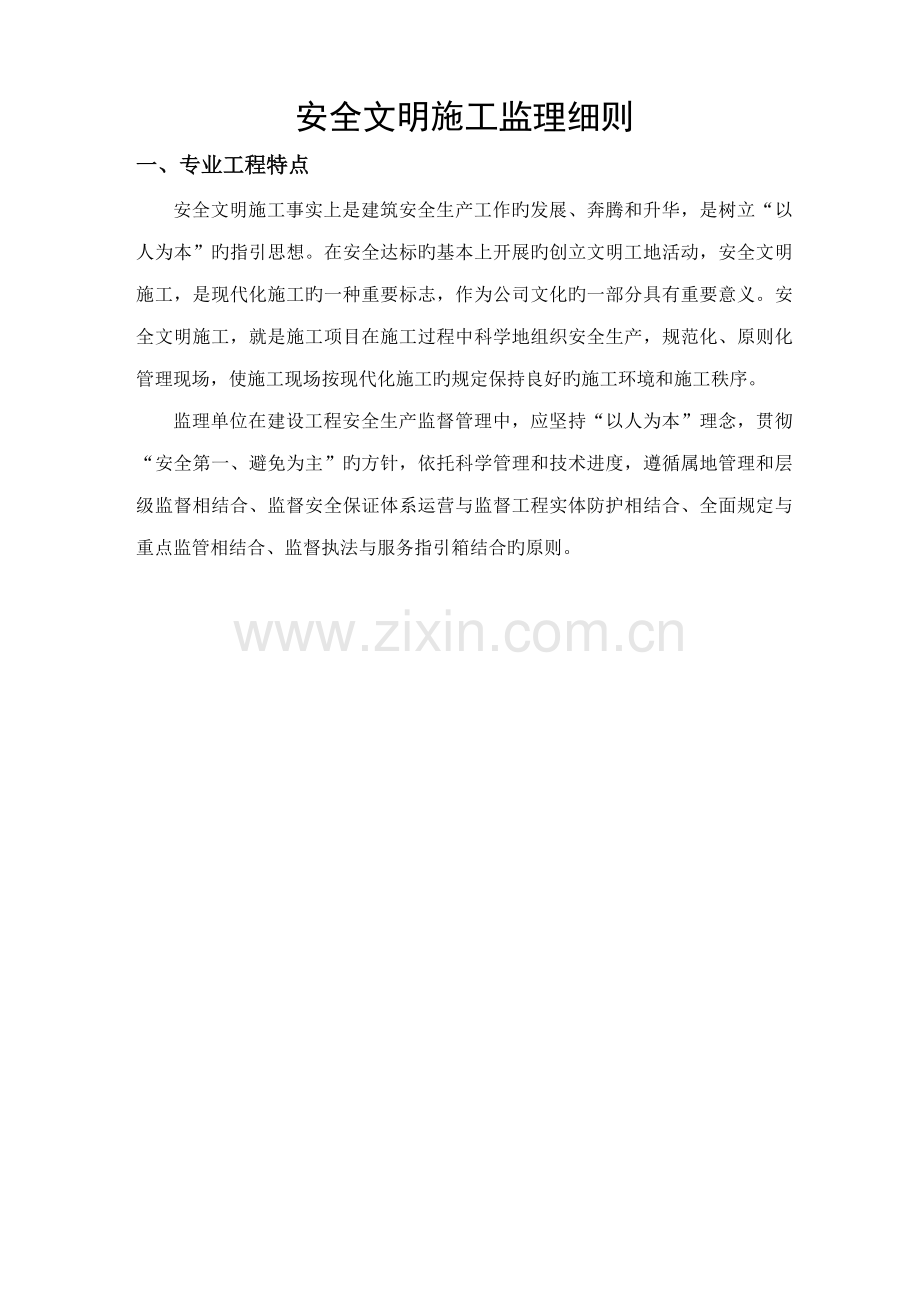 安全文明综合施工监理标准细则.docx_第2页