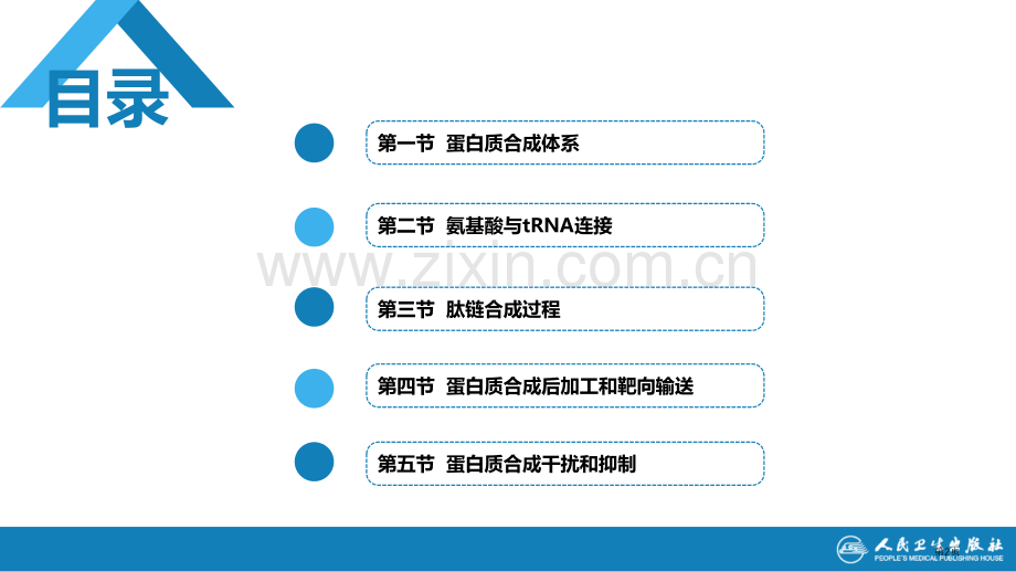 生物化学和分子生物学人卫蛋白质的合成省公共课一等奖全国赛课获奖课件.pptx_第2页