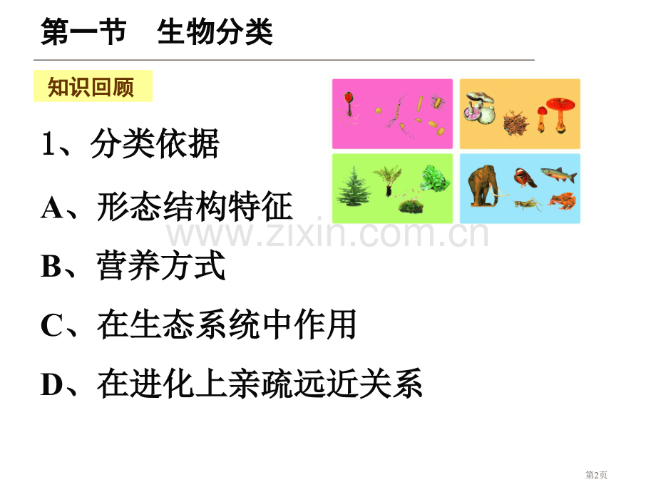 丰富多彩的生物世界复习苏教版八年级下册省公共课一等奖全国赛课获奖课件.pptx_第2页