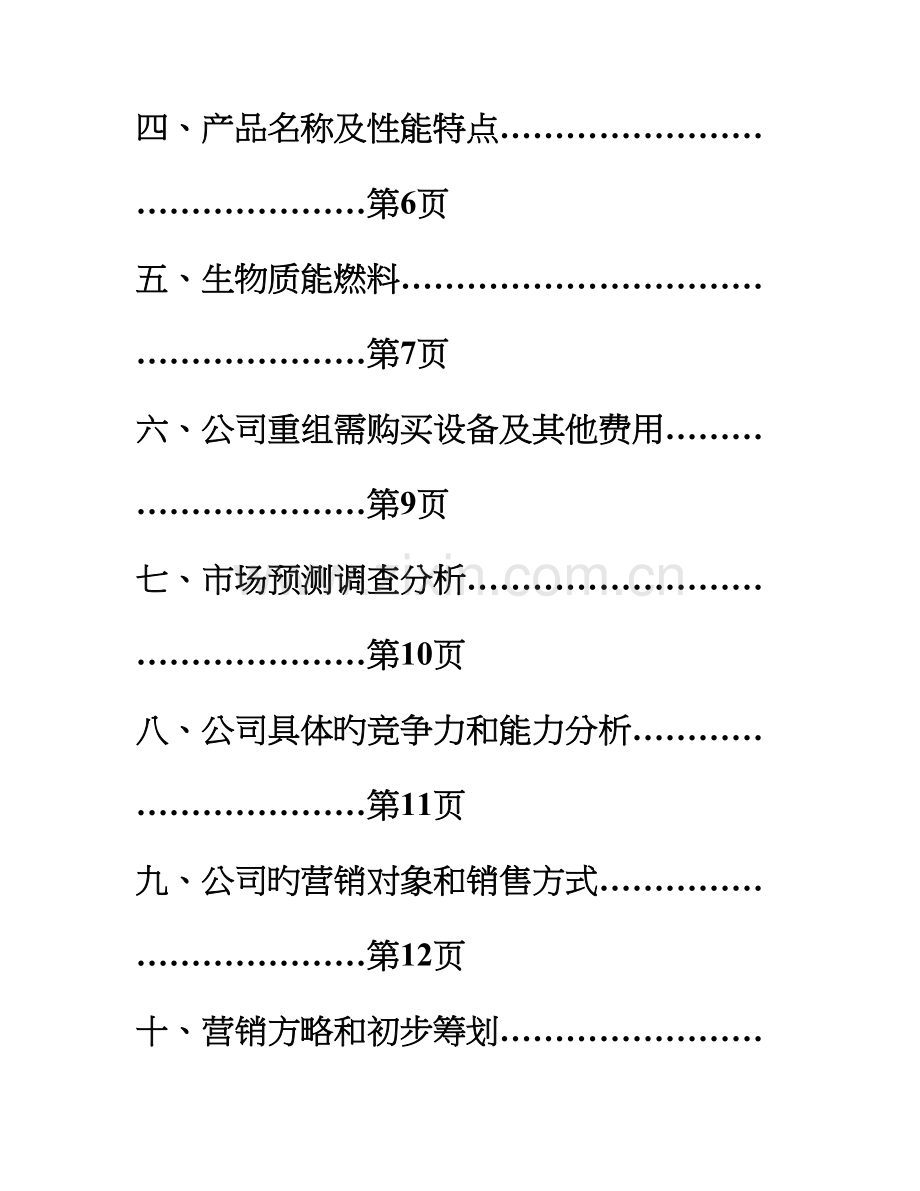 公司专项项目综合计划书.docx_第2页