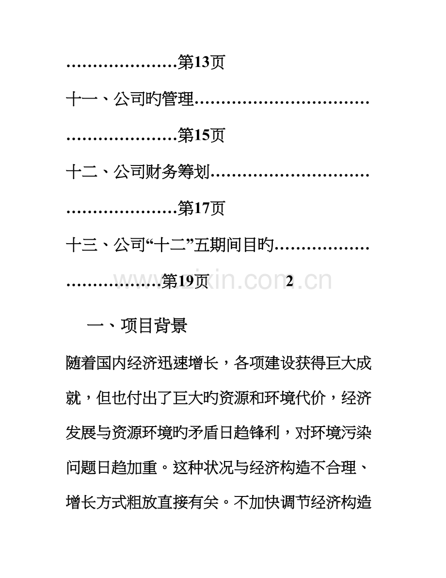 公司专项项目综合计划书.docx_第3页