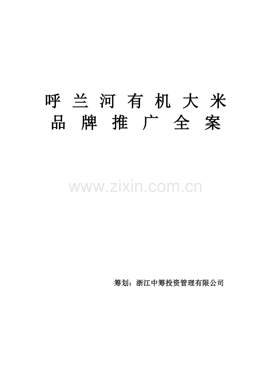 大米品牌推广专题方案.docx_第1页