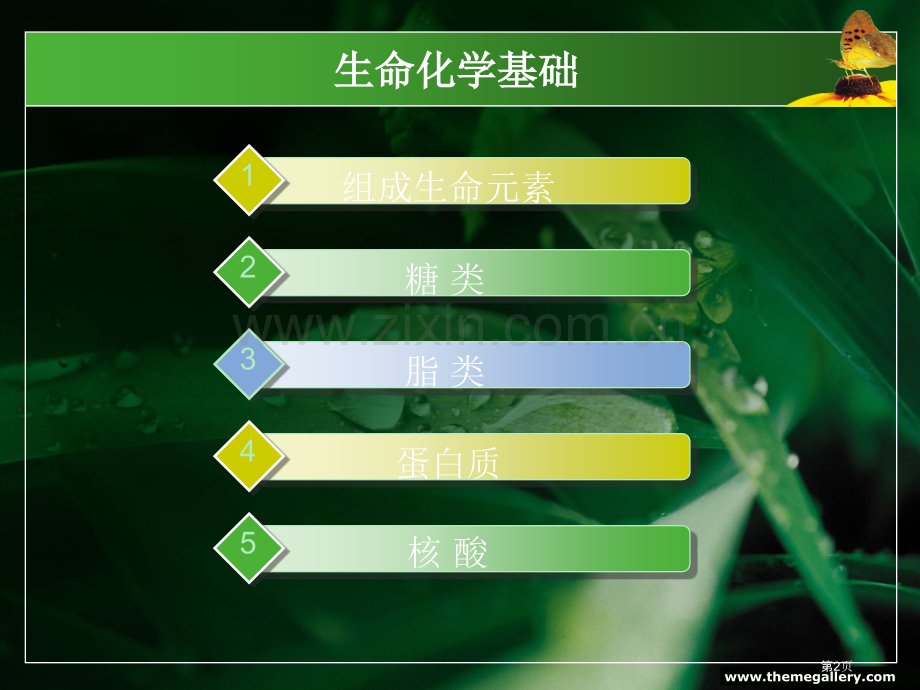 生命的化学基础省公共课一等奖全国赛课获奖课件.pptx_第2页