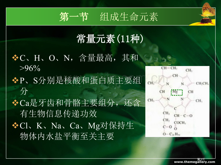 生命的化学基础省公共课一等奖全国赛课获奖课件.pptx_第3页