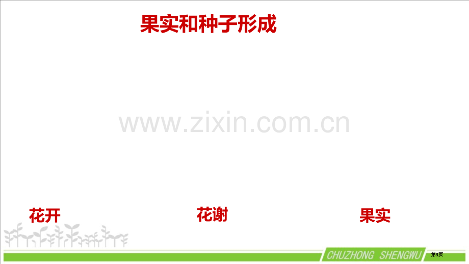 植物的有性生殖优质课件省公开课一等奖新名师优质课比赛一等奖课件.pptx_第3页