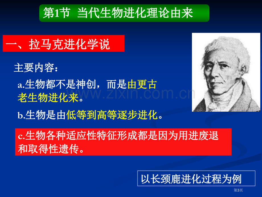 新版现代生物进化理论市公开课一等奖百校联赛特等奖课件.pptx_第3页