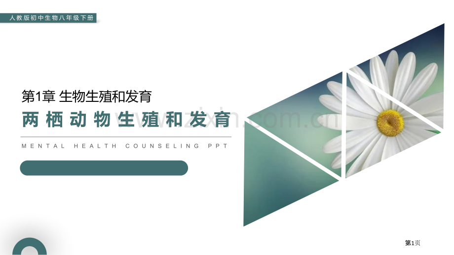 两栖动物的生殖和发育省公开课一等奖新名师比赛一等奖课件.pptx_第1页