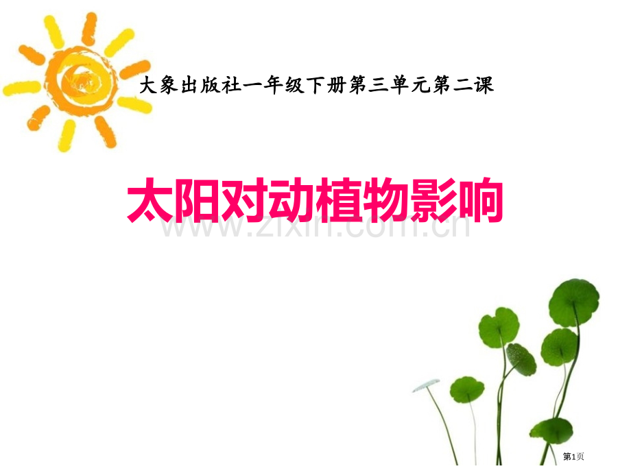 太阳对动植物的影响课件省公开课一等奖新名师优质课比赛一等奖课件.pptx_第1页