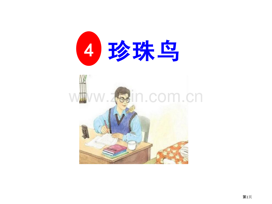 珍珠鸟说课稿省公开课一等奖新名师比赛一等奖课件.pptx_第1页