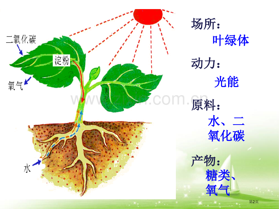 能量之源光和光合作用教学省公共课一等奖全国赛课获奖课件.pptx_第2页