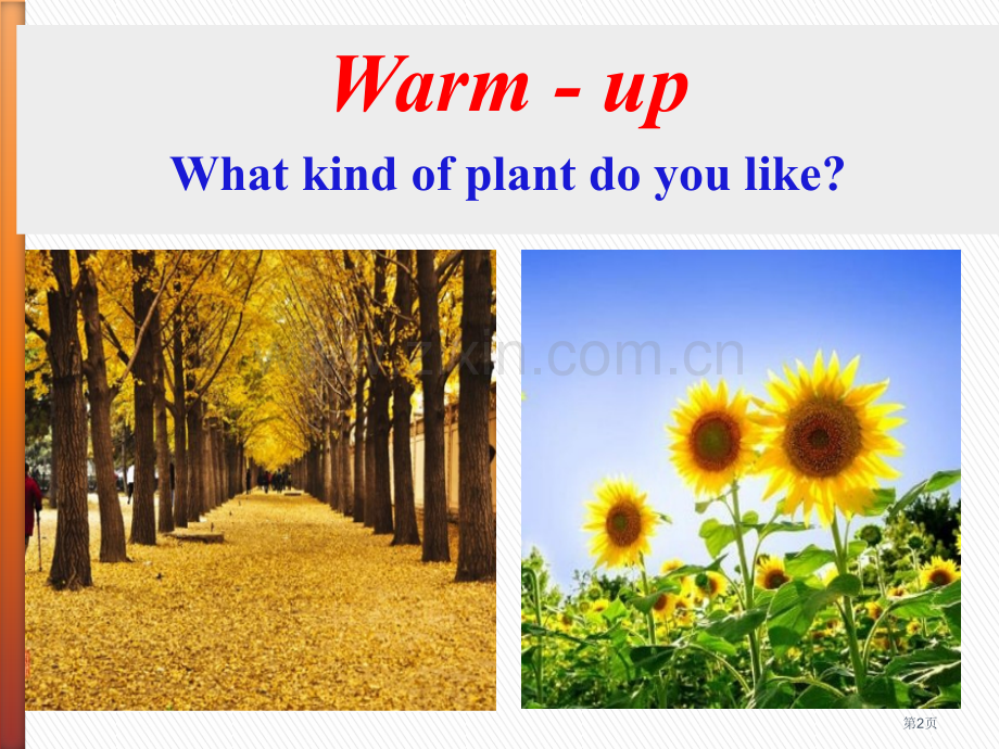 Why-Are-Plants-ImportantPlant-a-Plant-.pptx_第2页