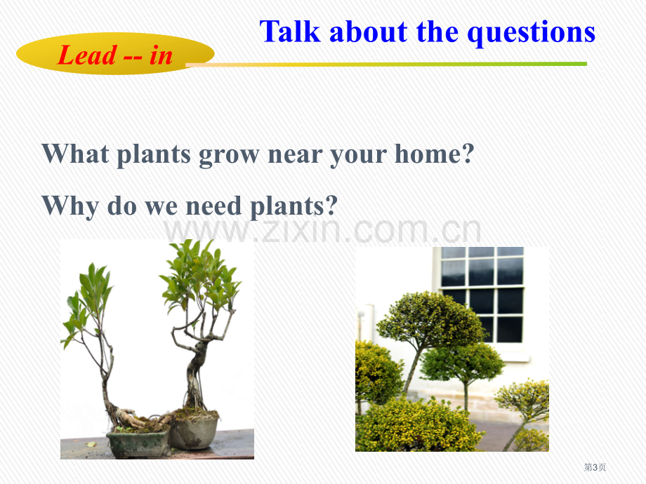 Why-Are-Plants-ImportantPlant-a-Plant-.pptx_第3页